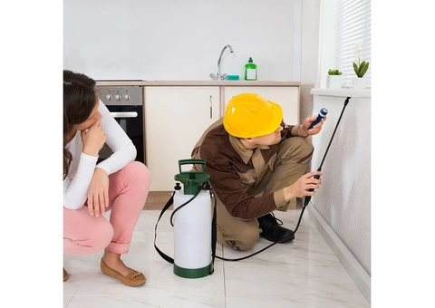Book Pest Control Service in Sunbury | Blink Pest Control