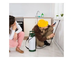 Book Pest Control Service in Sunbury | Blink Pest Control