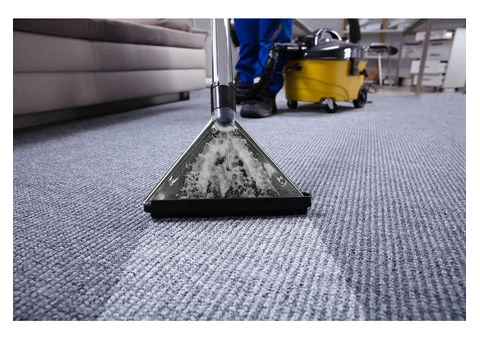 High-Quality Carpet Cleaning in Wollongong by Accredited Professionals