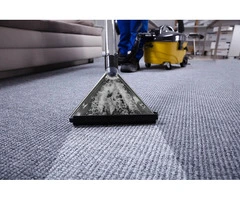 High-Quality Carpet Cleaning in Wollongong by Accredited Professionals