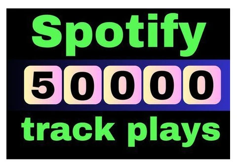 Why You Should Buy 50000 Spotify Plays?