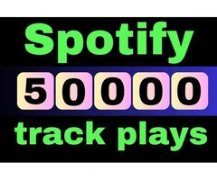 Why You Should Buy 50000 Spotify Plays?