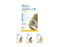 Revolution Plus for Cats - Flea, Tick & Worming