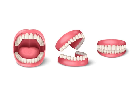 Discover the Leading Dentist Collingwood for Preventive Care - 3/5