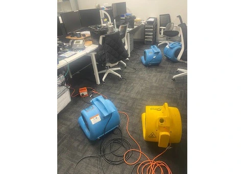 Professional Flood Damage Carpet Cleaning in Melbourne