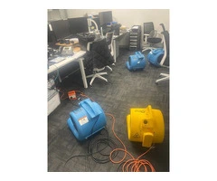 Professional Flood Damage Carpet Cleaning in Melbourne