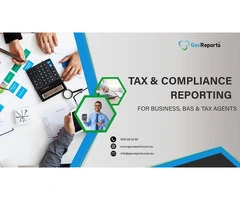 Lodge tax Return online with GovReports