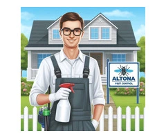 Safe and Effective Wasp Extermination in Melbourne