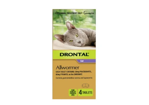 Drontal Wormers