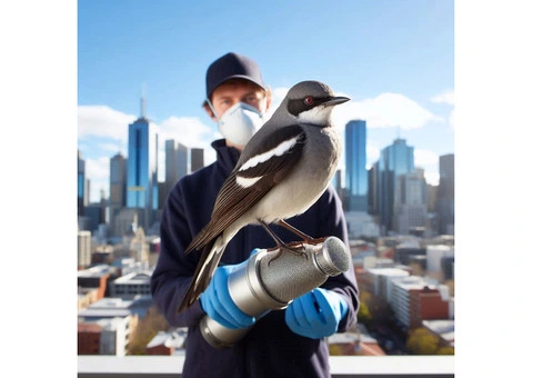 Bird Control Solutions in Melbourne