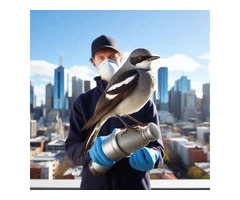 Bird Control Solutions in Melbourne