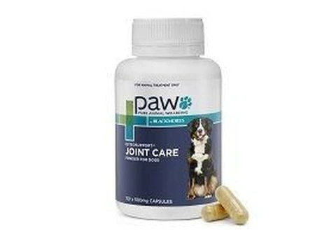 Buy Paw Osteosupport Joint Care Powder For Dogs Online-Vetsupply