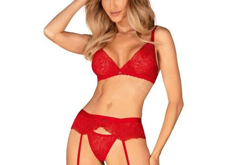 Buy Sexy Sheer Red Bra 3 Piece Lingerie Set At Lingerie Seduction Online Store