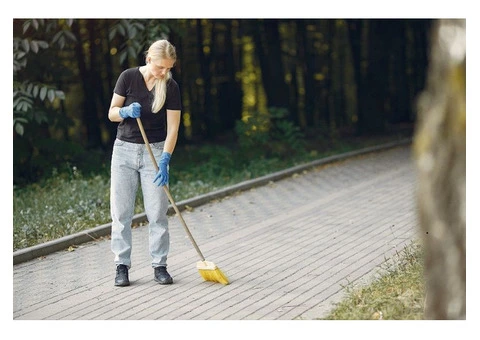 Expert Driveway Cleaning Services at Your Doorstep