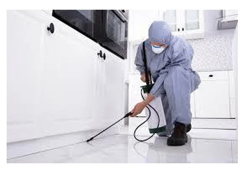 Pest Control Maitland | OzPest Solutions