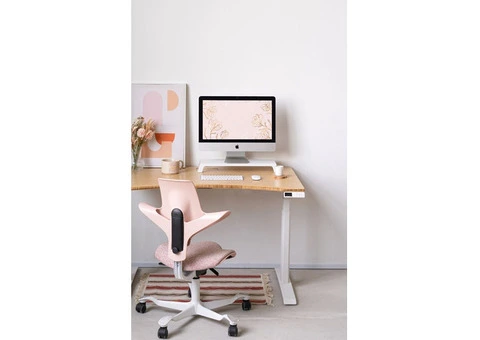 Find Your Perfect Adjustable Desk: Shop Now