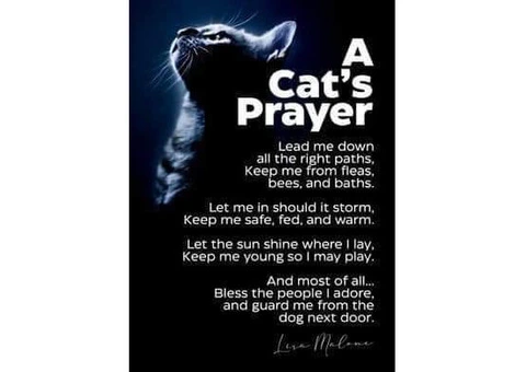 Creative writing service - 2/3