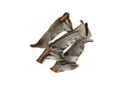 Nature's Menu Australian Shark Tails For Dogs | VetSupply