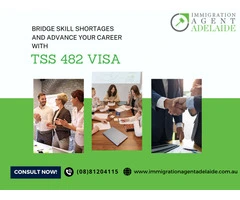 Navigating the Employer-Sponsored Visa Australia: Expert Tips for Success