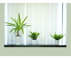 Macarthur: Quality Blinds Currans Hill-wide