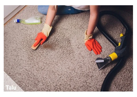 Reliable Carpet Cleaning in Ballarat | IANS Cleaning Services