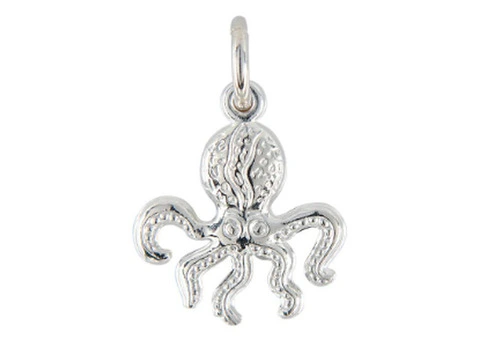 Buy Sterling Silver Charms Online in Australia