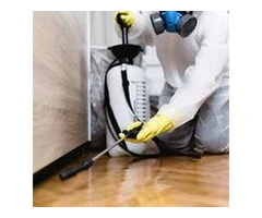 Affordable Pest Control Service in Geelong | Blink Pest Control