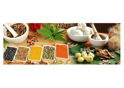 Achieve Wellness and Tranquillity on an India Yoga Tour