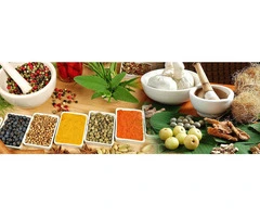 Achieve Wellness and Tranquillity on an India Yoga Tour