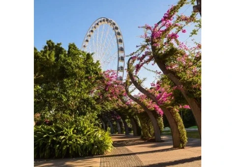 Conveyancing Logan City