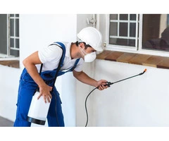 Expert Residential Pest Control in Adelaide