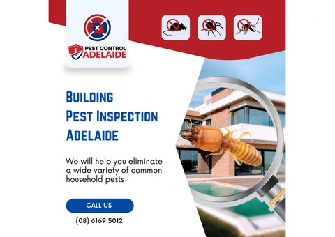 Building Pest Inspection Adelaide - Ensure Your Property is Safe!