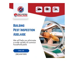 Building Pest Inspection Adelaide - Ensure Your Property is Safe!