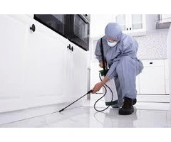 Pest Control Service in Maitland- OzPest Solution