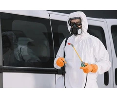 Effective White Ant Treatment in Sydney