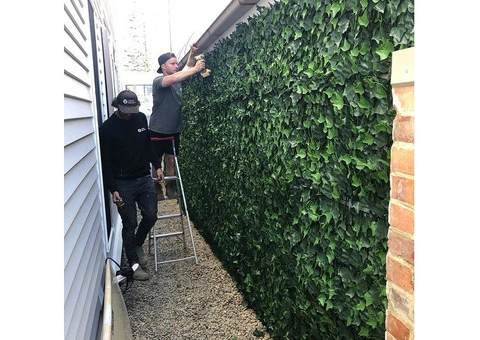 Stunning, High-Quality Flower Wall to Decorate Your Space in Melbourne