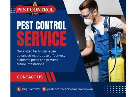 Reliable Spider Control in Canberra