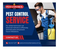 Reliable Spider Control in Canberra