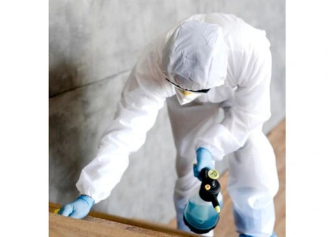 Keen To Make Your Home Pest-Proof With Termite Inspections?