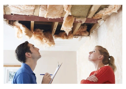 Discover Hidden Issues: Comprehensive Building Pest Inspection in Melbourne