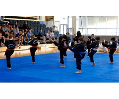 Learn the Physical Fitness and Health Benefits of Karate Classes Near Me Australia