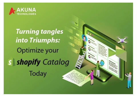 Know how to optimize your shopify catalog today