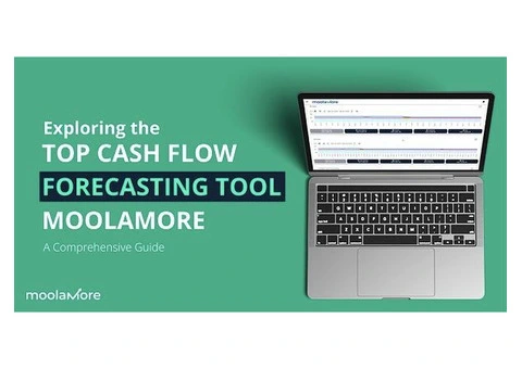 Simplify Your Financial Planning with Moolamore Forecasting Tool