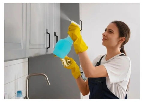 Find the Best Domestic Cleaning Service in Adelaide - 1/3