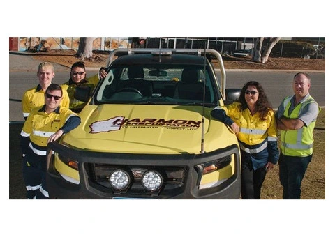 Choose the Right Transport and Courier Services for Your Business Needs