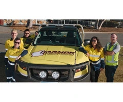 Choose the Right Transport and Courier Services for Your Business Needs