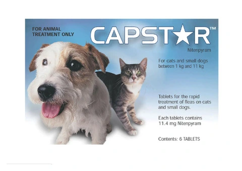 Buy Capstar For Cats And Small Dogs 0.5 To 11Kg (Blue) Online