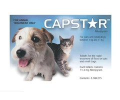 Buy Capstar For Cats And Small Dogs 0.5 To 11Kg (Blue) Online