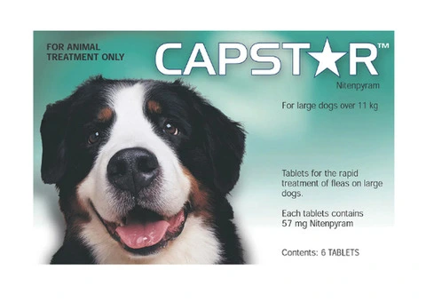 Buy Capstar For Large Dogs over 11Kg (Green) Online