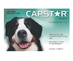 Buy Capstar For Large Dogs over 11Kg (Green) Online